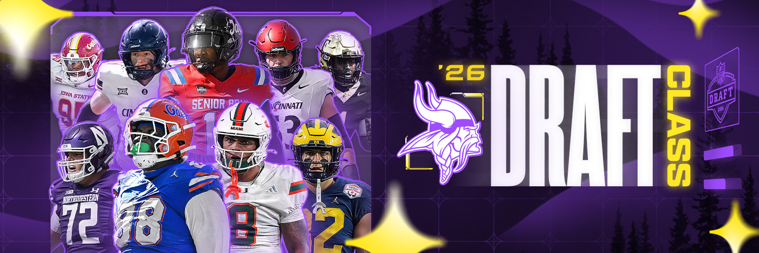 Minnesota Vikings banner