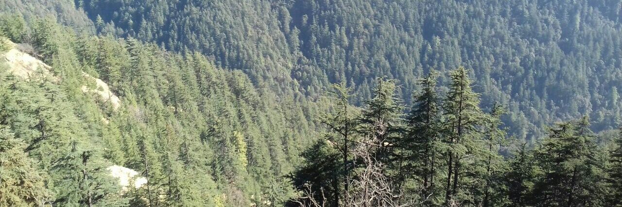 Sikta_Das's profile banner image