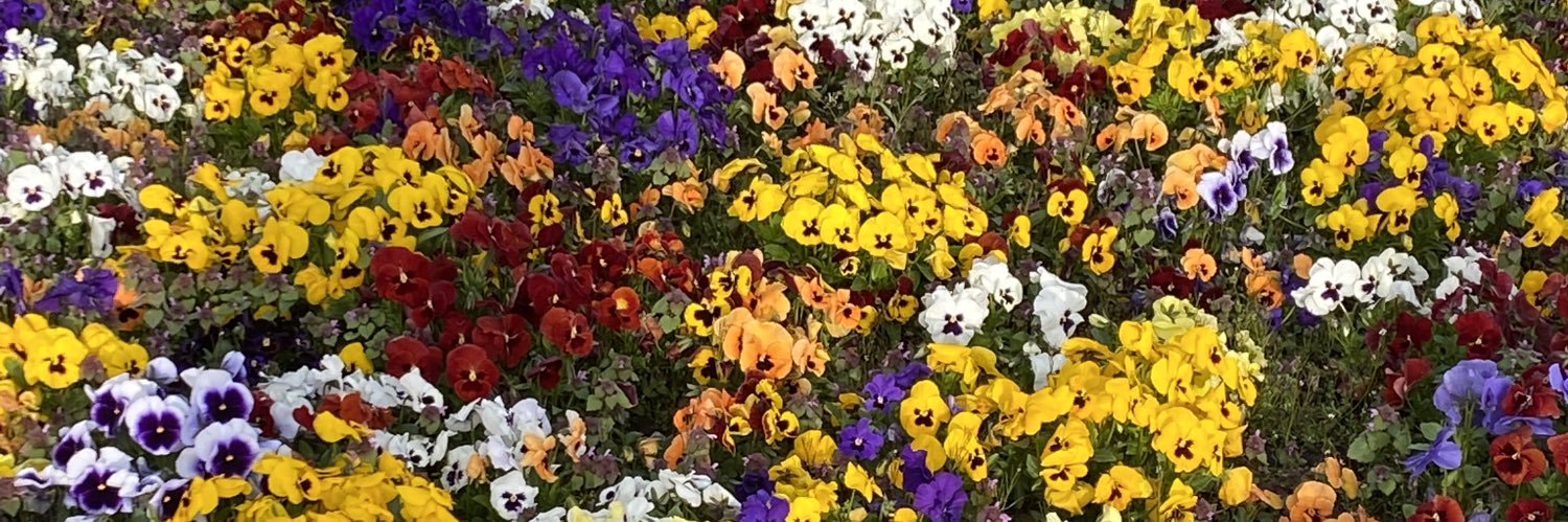 StephanWalter1's profile banner image