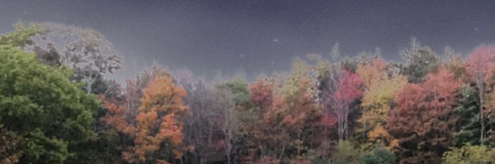 kimstonnee's profile banner image
