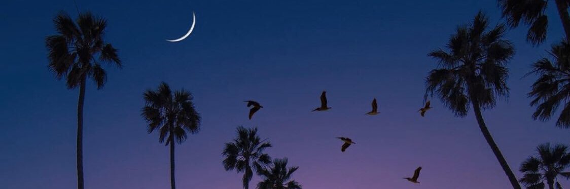 dnqntgrc's profile banner image