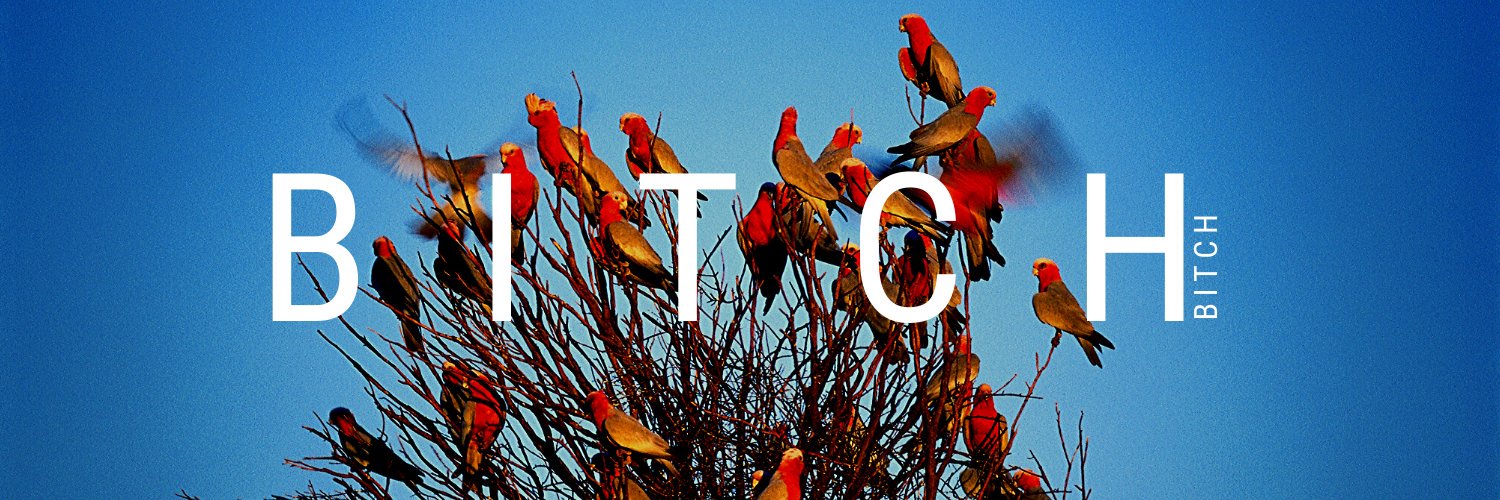 ___hallookto's profile banner image