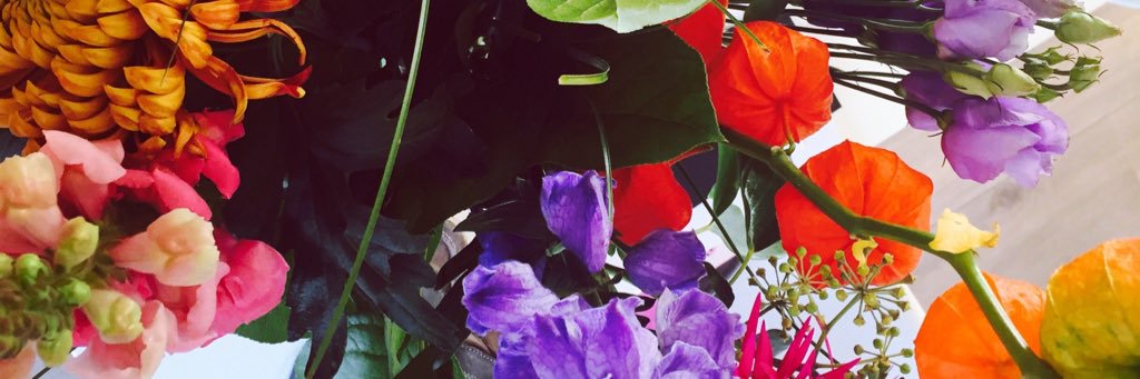 PascalHemelaar's profile banner image