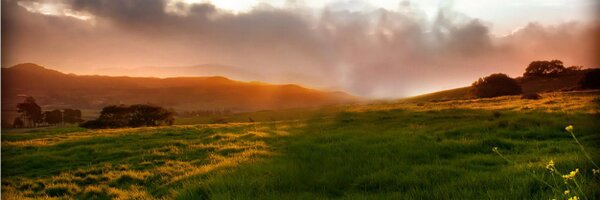 RoqueCenter Profile Banner