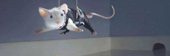 Ratatwitts's profile banner image