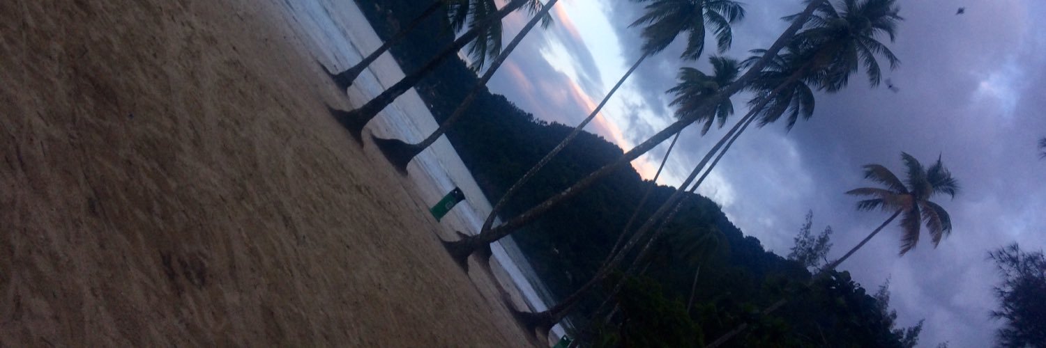 Lanzie__'s profile banner image