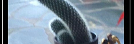 rainyreetce_'s profile banner image
