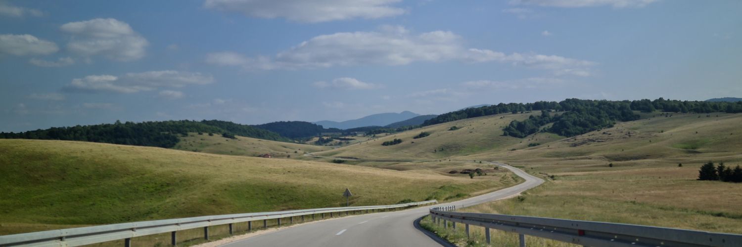 Stefan Antić's banner