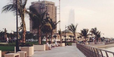 logano_jeddah's profile banner image