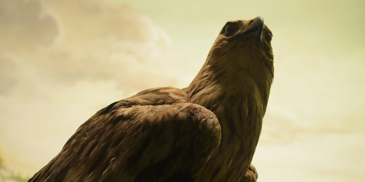 sgroberth1's profile banner image