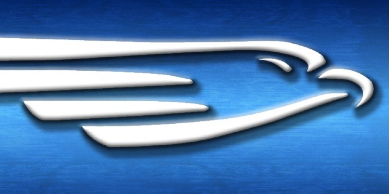 Silver Falcons banner