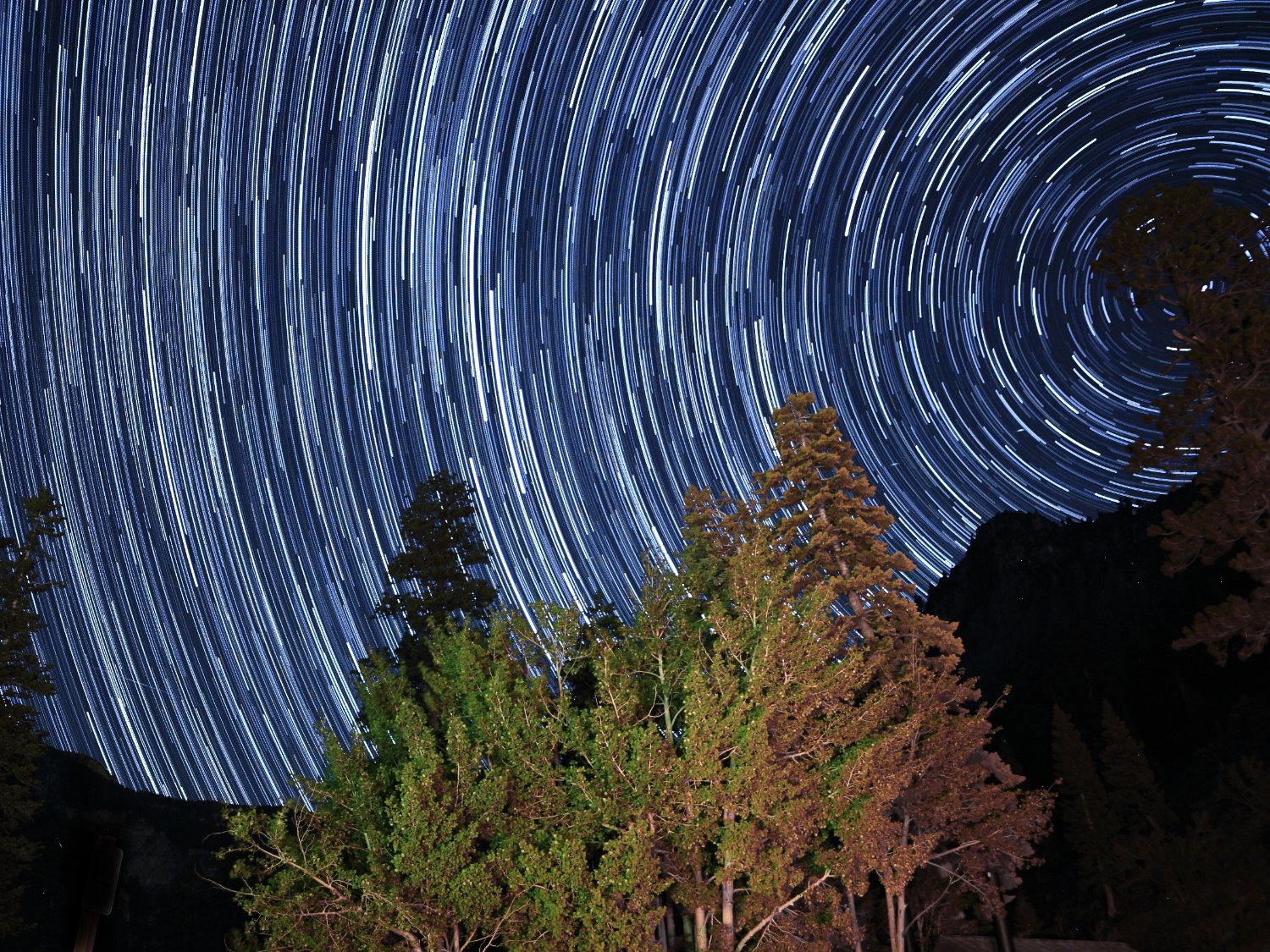 Random citizen banner