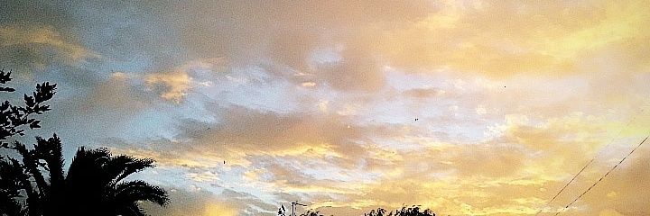 Malenu98's profile banner image