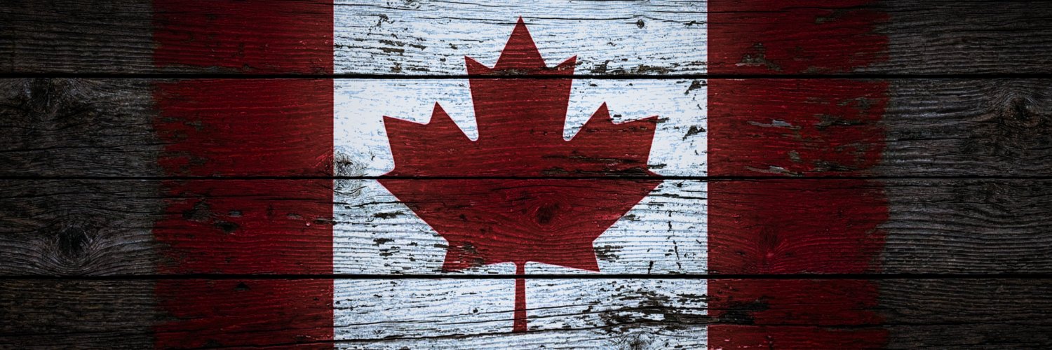 Vincent Neil Ho banner