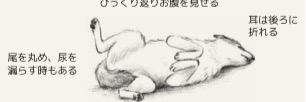 utagyawa's profile banner image