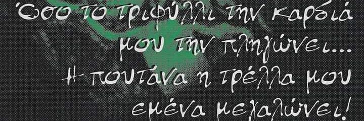 Trifyllaras's profile banner image