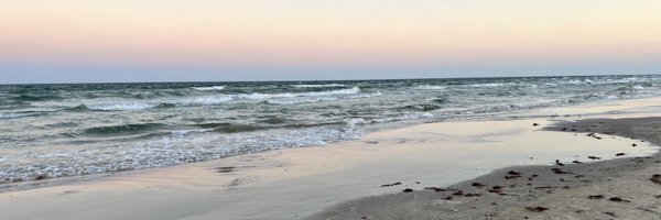 gidgey Profile Banner