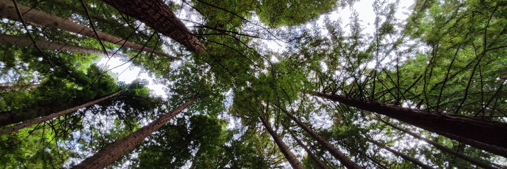 JoseIgnacionet 🔻 banner