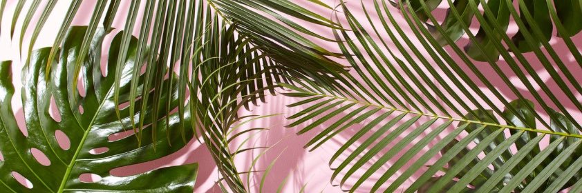 dace_celmina's profile banner image