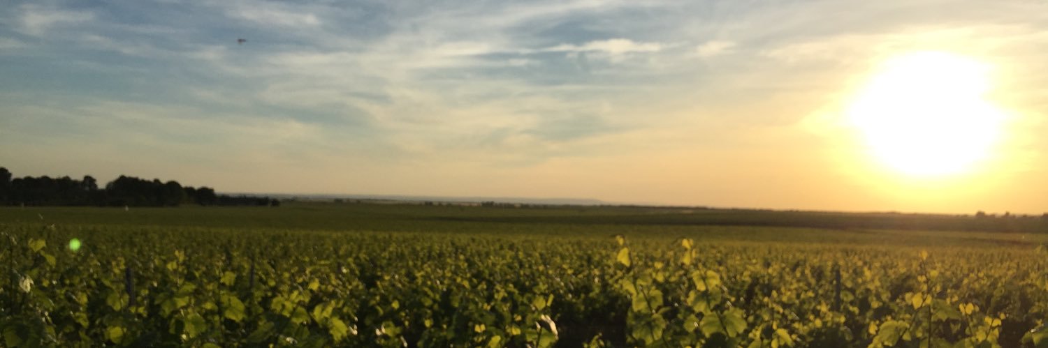 IFernaRibelles's profile banner image