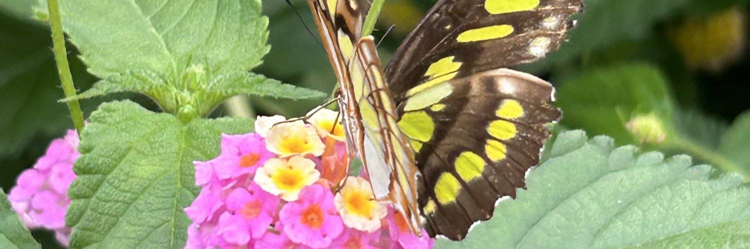 gemmalive11's profile banner image
