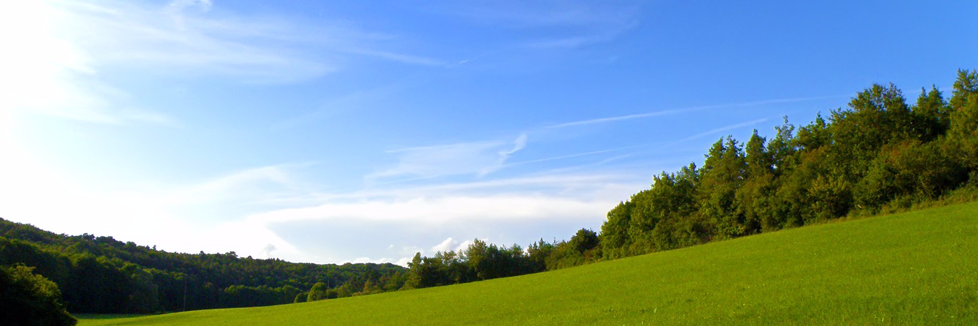 marcosmtbz's profile banner image
