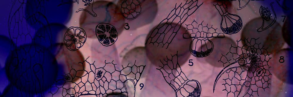 Cannabinoid2's profile banner image