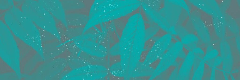 klmndrp's profile banner image