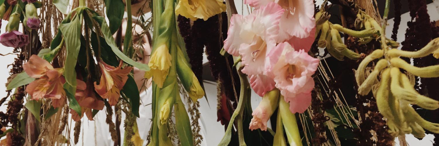 ameliamartyn's profile banner image