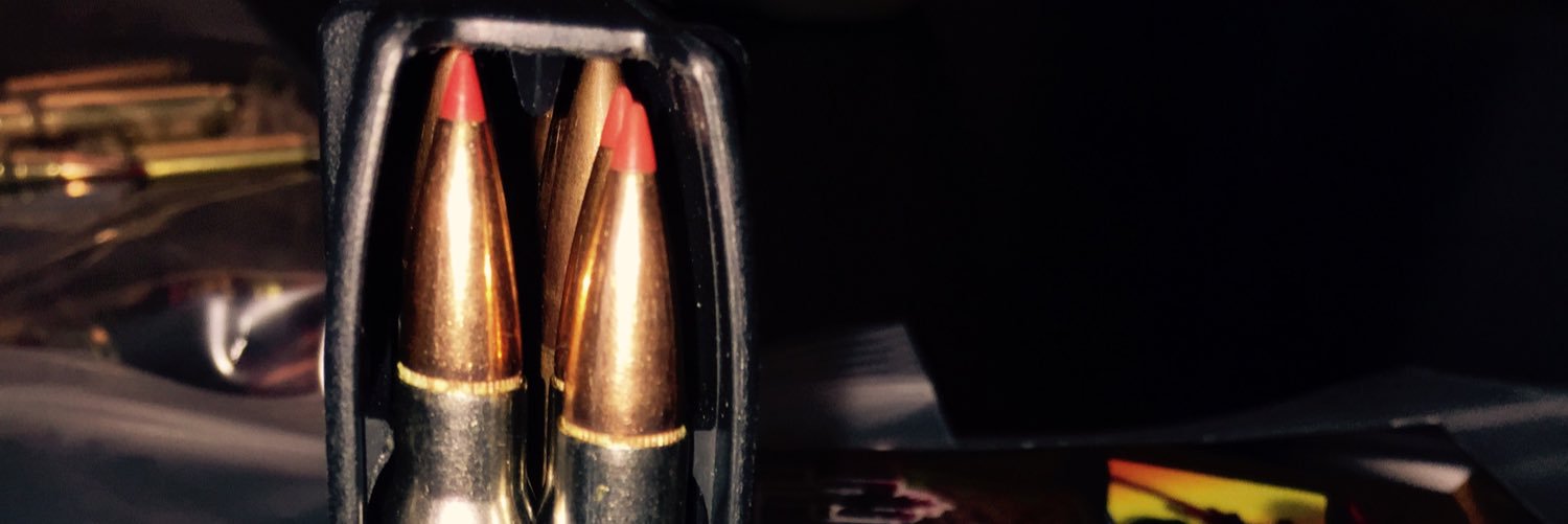 WarriorsLeft's profile banner image