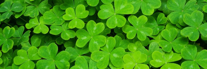 Geraghty8's profile banner image