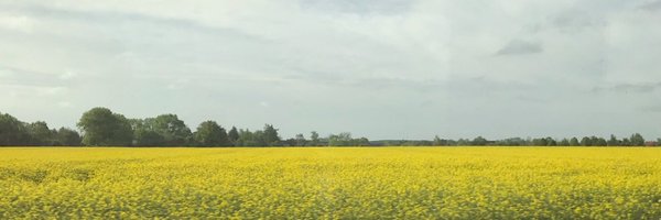alexplatea Profile Banner