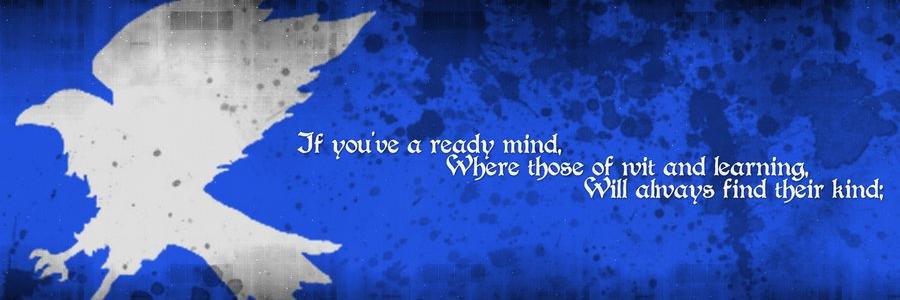 aamiraTweets's profile banner image