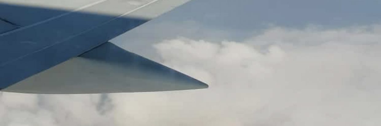 janine_41530's profile banner image