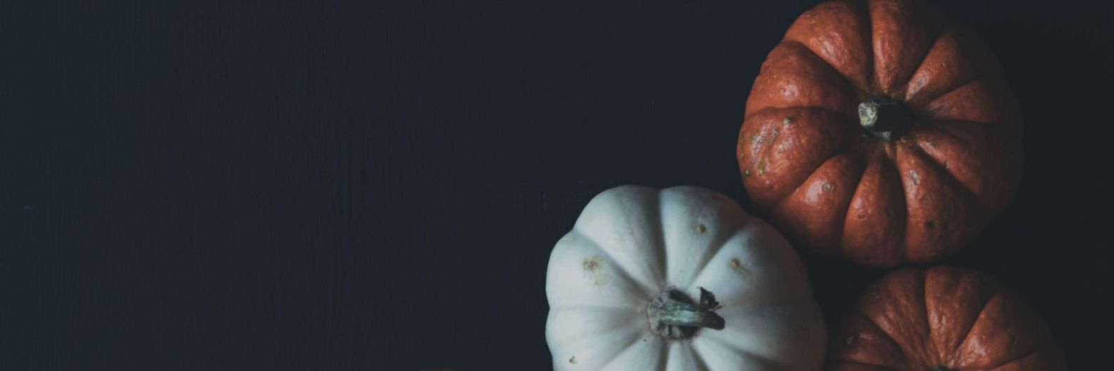 SaraySego's profile banner image