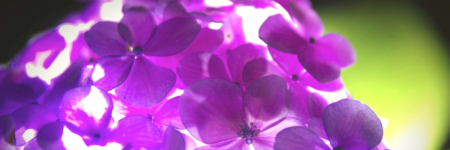 ぺんぎん★ banner