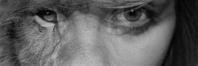 OlenkaMG's profile banner image