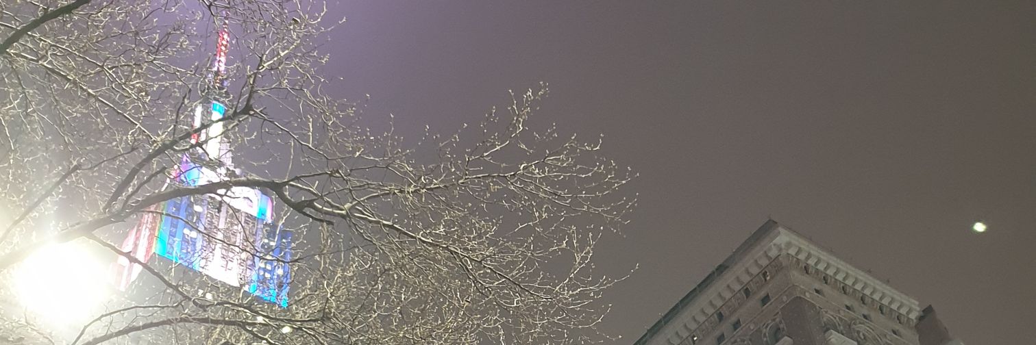 Veronica Halsvik banner