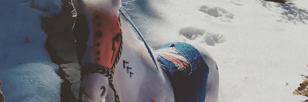 RioP. ⛏️🐎 banner