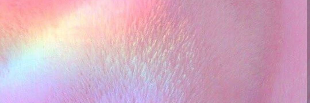 ashleeylo's profile banner image