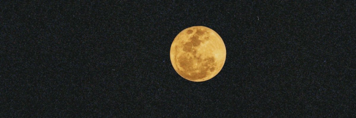 eguidobaldi_'s profile banner image