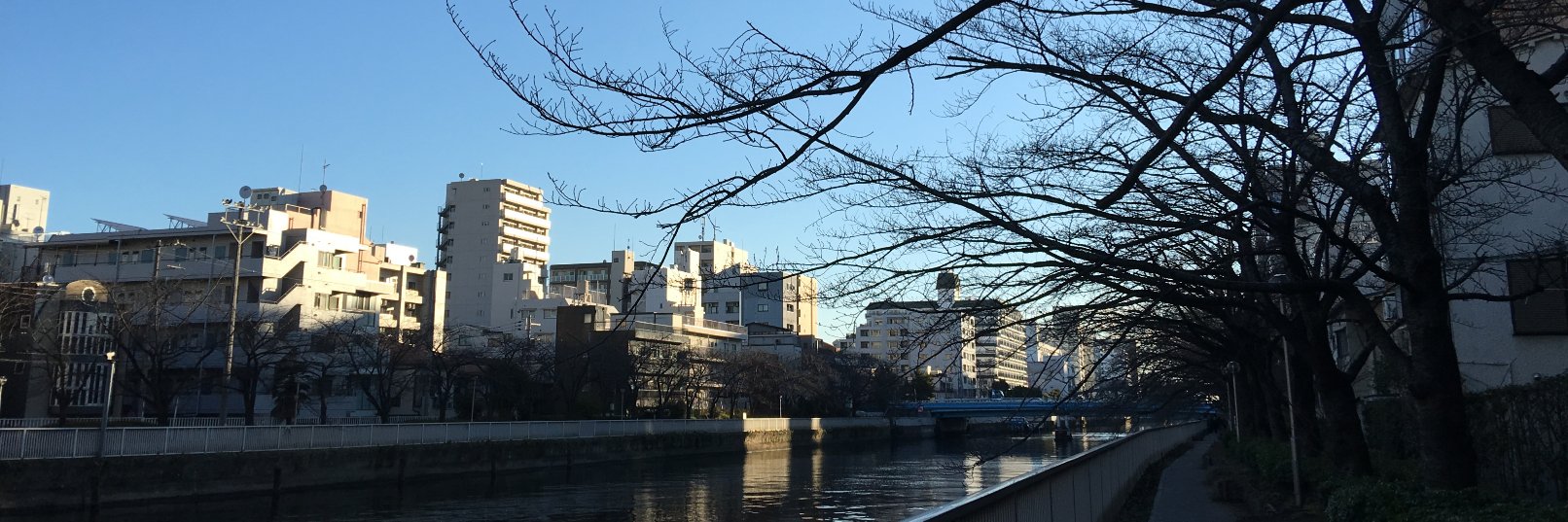 naoki_const's profile banner image