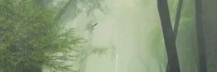 جلنار's banner