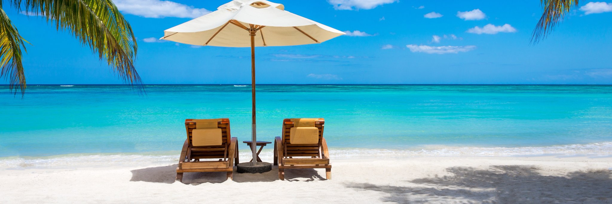 dreamhols's profile banner image