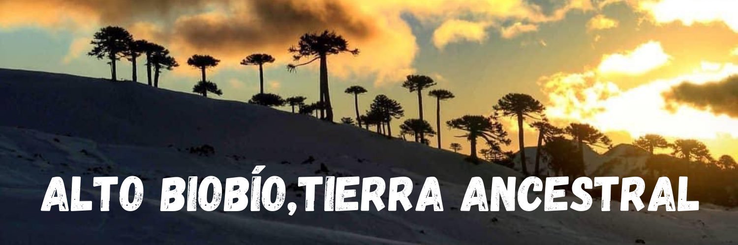 Comuna Alto Biobío banner
