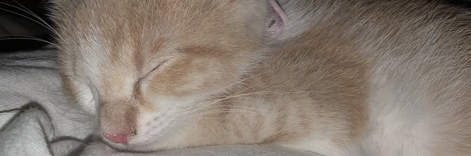ehhmary's profile banner image