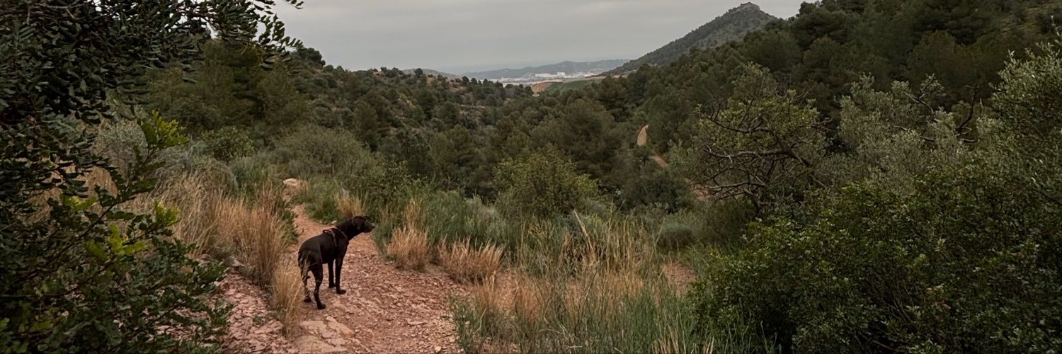 sofi8709's profile banner image