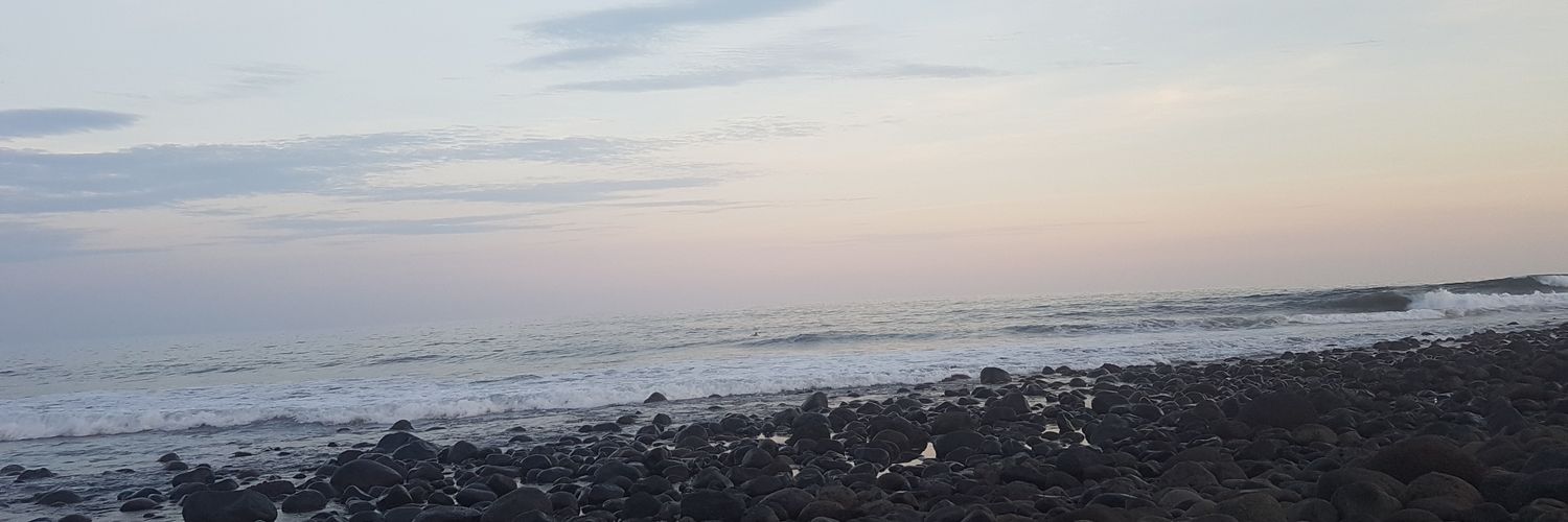 Rosyzepeda86's profile banner image