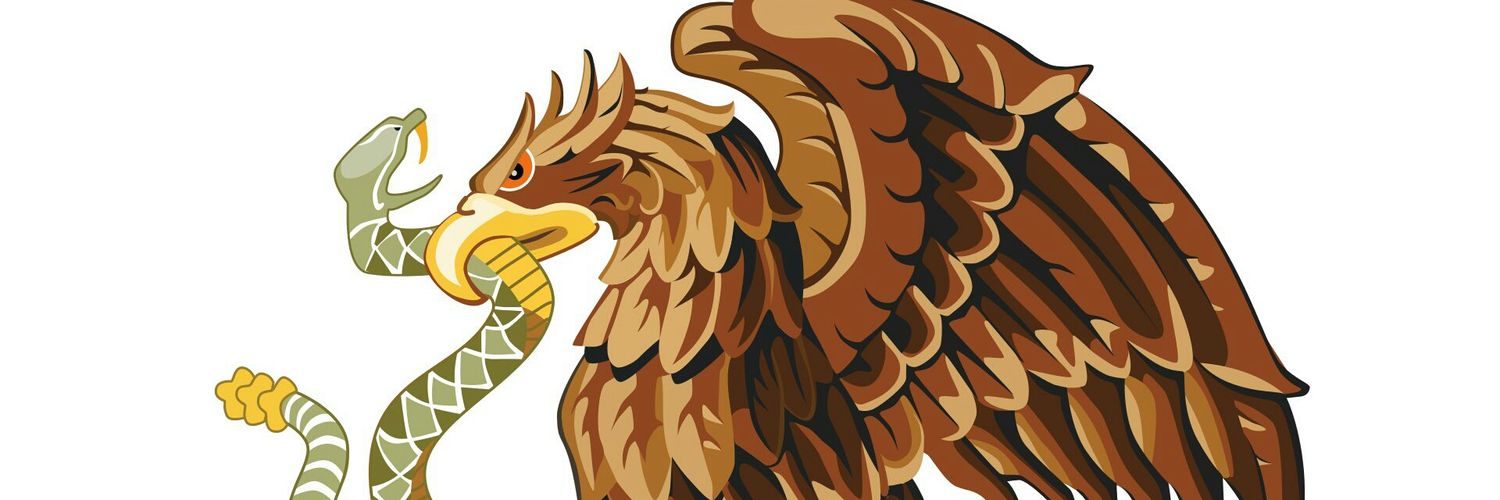 EnsUniversalis's profile banner image