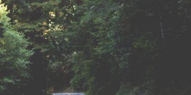 alanallgdr's profile banner image